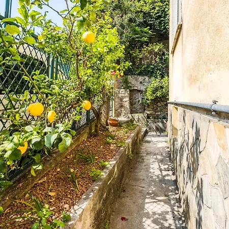 Fiordaliso